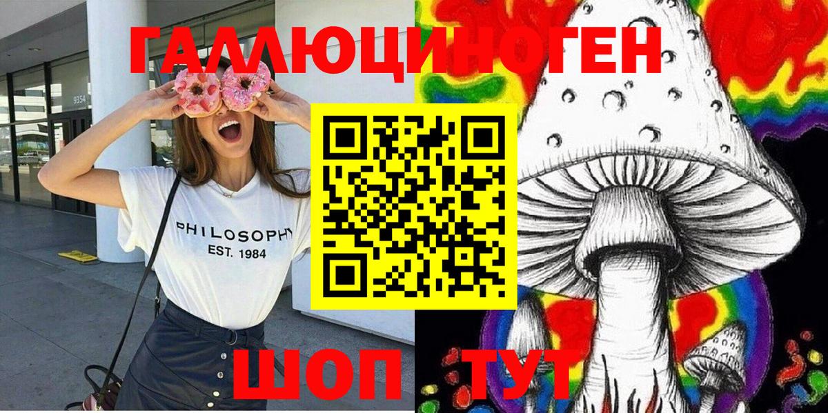 Галлюциногенные грибы GOLDEN TEACHER  Вход с VPN  Брянск 